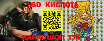 шишки Надым