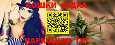 шишки Надым