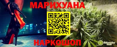 шишки Надым