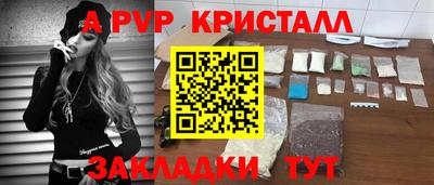 шишки Надым
