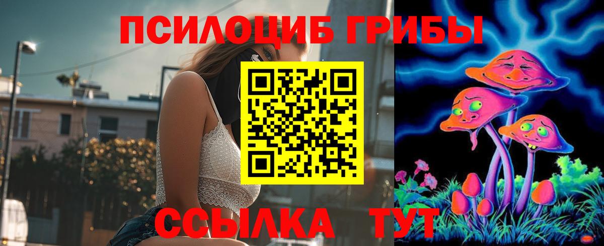Псилоцибиновые грибы прущие грибы  Вход с VPN  Железногорск 
